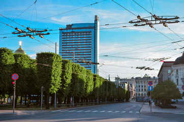 Beautiful empty city with trees alley and high building. Empty road.