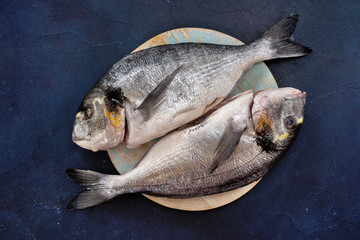 Top view of two dorado fishes on round woden tray and blue background