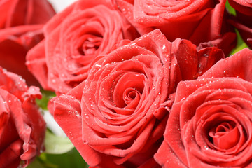 A bouquet of beautiful burgundy roses close-up. Macro