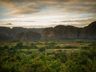 Fototapeta na wymiar Green mountain landscape in the valley of vinales in cuba