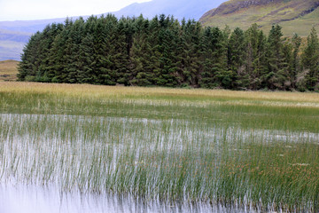 Cill Chriosd lake Isle - Skye Island (Scotland), UK - August 13, 2018: Cill Chriosd lake Isle of Skye, Inner Hebrides, Scotland, United Kingdom