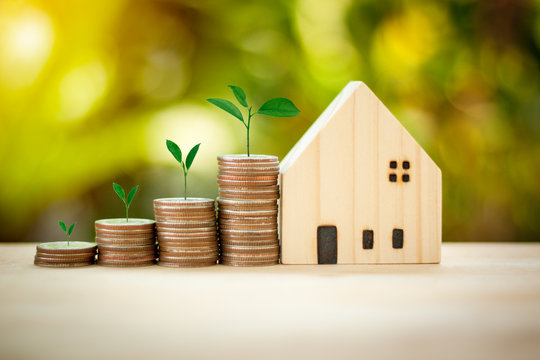 House model and coins stack with tree on sun light bokeh background mortgage for saving concept, build home and business for the future.