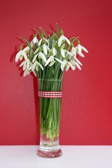 Romantic bouquet of snowdrops (Galanthus nivalis) 