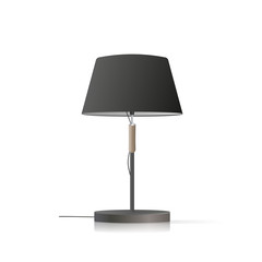 Decorative table lamp. Original model with a black silk lampshade and a metal leg. For living room, bedroom, study and office. Vector illustration on a white background.