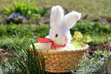 Basket with cute Easter bunny in spring nature