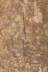Old Weathered Cracked Brownish Wood Texture