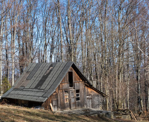 wiejska chata w lesie