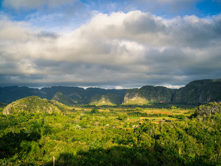 Green mountain landscape in the valley of vinales in cuba