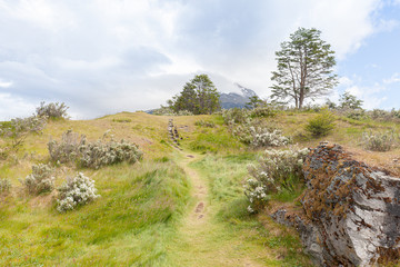Landscape at trail in "Tierra del Fuego" National Park