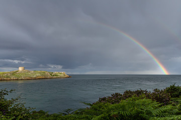 Blick vom Dillon’s Park auf die kleine unbewohnte Insel Dalkey Island mit Martello-Turm und einem...