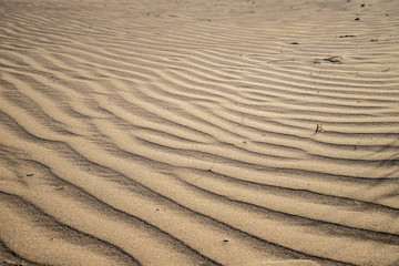 ripples in the sand