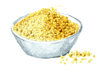 Plate with millet. Grain millet. Hand drawn watercolor illustration, isolated on white background