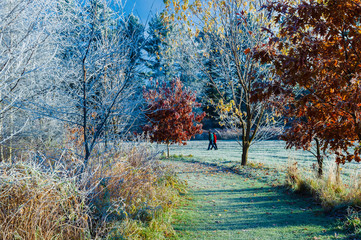 Stowe Recreation Path on a cold frosty autumn morning in Stowe Vermont USA