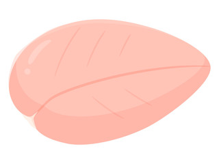 鶏胸肉のイラスト