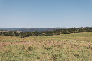 Obraz premium Brazilian Nature Landscapes River Farm Animals