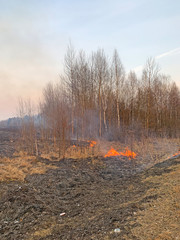 Burning grass. Fire in the field.