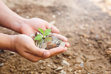 Hands holding coin with baby plant on top.