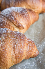Cooked homemade croissants with copy space