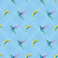 Colorful HummingBirds seamless pattern on textured light blue background