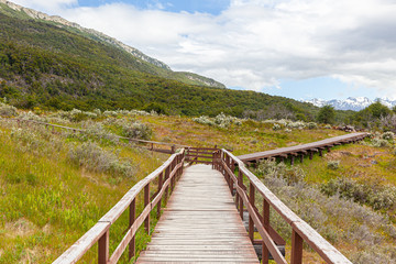 Fototapeta na wymiar Wooden Pathway at Tierra del Fuego National Park - Ushuaia - Argentina
