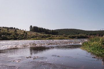 Brazilian Nature Landscapes River Farm Animals