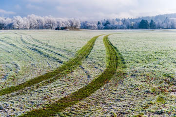 Tractor tire tracks on frost covered green grass on a frosty faull morning in Stowe Vermont USA