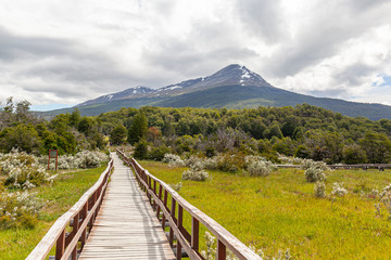 Wooden Pathway at Tierra del Fuego National Park - Ushuaia - Argentina