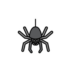 Spider. Filled color icon. Animal vector illustration