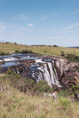 Brazilian Nature Landscapes River Farm Animals