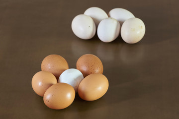 White surrounded eggs. Egg groups