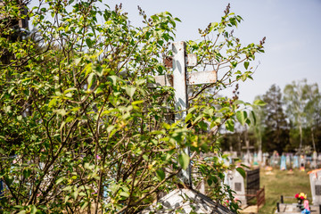 The grave of the deceased with a tombstone and a cross on top. Spring day commemoration of the dead. Prayer for the souls of our relatives, friends, relatives and ancestors.