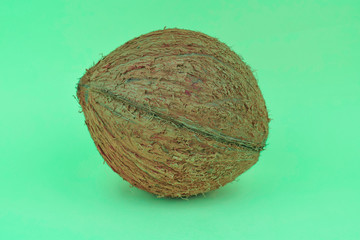 Portrait of a fresh coconut in the middle of an isolated blue background