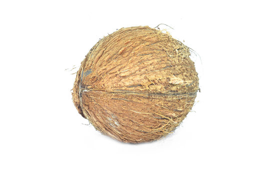 Side view of a rustic coconut in the middle of an isolated white background