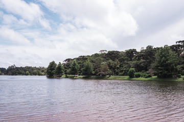 Brazilian Nature Landscapes River Farm Animals