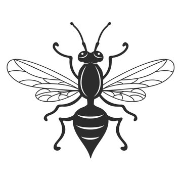 Insect wasp, black wasp silhouette. A stinging insect, an insect pest. Flat design. Vector image