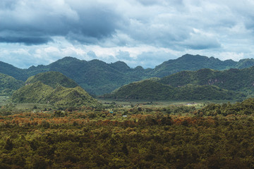 Fototapeta premium Wald Landschaft Thailand