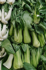 Green vegetables hanging in the market