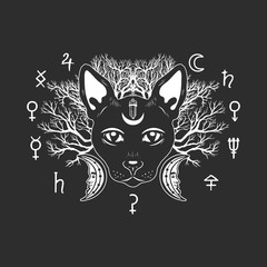 Black cat with crescent on forehead on dark background. Magic cat face decorated with dead branches and occult symbols.