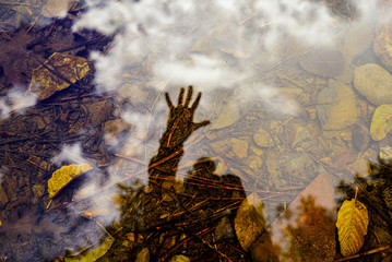 Obraz premium hello me