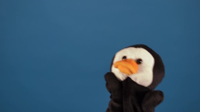 Soft puppet toy on blue background. Concept of puppet show. Close-up of puppet penguin.