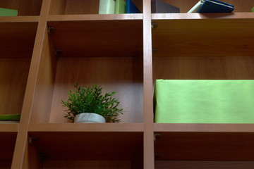 Fototapeta na wymiar wooden shelving unit with wooden cells for storing books and pots with plants and equipment. potted plant in a shelf on a shelf