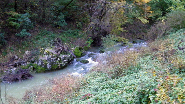 The canyon of the Pazincica river before the abyss and the Pazin cave - Pazin, Croatia (Kanjon rijeke Pazincice pred ponorom i pecinom Pazinska jama - Pazin, Hrvatska)