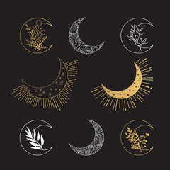 Hand Drawn Collection of Moons with Herbs. Vector Doodle Set