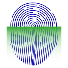 Fingerprint scanner ID symbol. Laser scanning scanning system. Flat style. Fingerprint Security Check. Vector