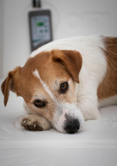 magnetoterapia psa © Bartłomiej Kosmatko