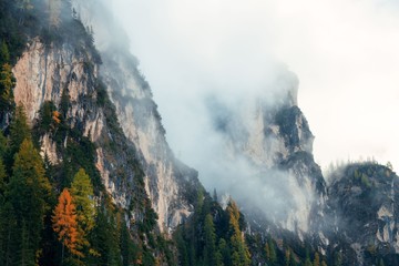 Dolomites fog color foliage