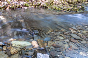 Gewässer und Auen im Naturschutzgebiet