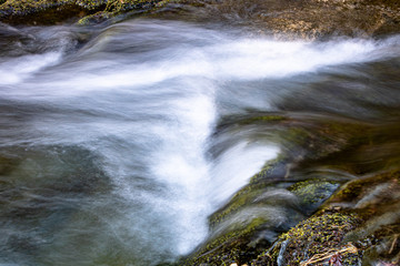 Gew&auml;sser und Auen im Naturschutzgebiet