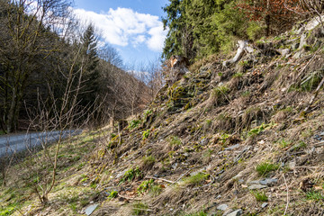 Bergfussweg und Talabstieg Naturschutz