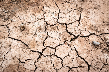 dry cracked earth